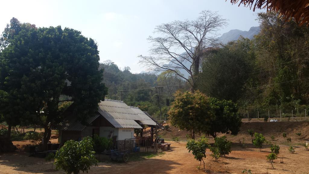 Doo-Dao-Doi Farm & Stay Чианг Дао Экстерьер фото
