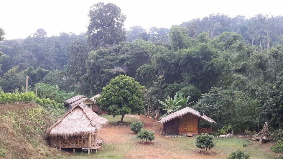 Doo-Dao-Doi Farm & Stay Чианг Дао Экстерьер фото
