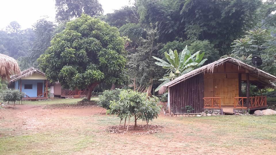 Doo-Dao-Doi Farm & Stay Чианг Дао Экстерьер фото