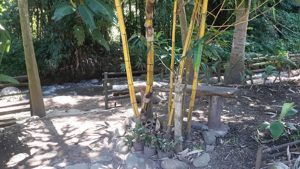 Doo-Dao-Doi Farm & Stay Чианг Дао Экстерьер фото