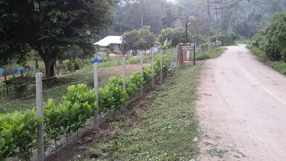 Doo-Dao-Doi Farm & Stay Чианг Дао Экстерьер фото